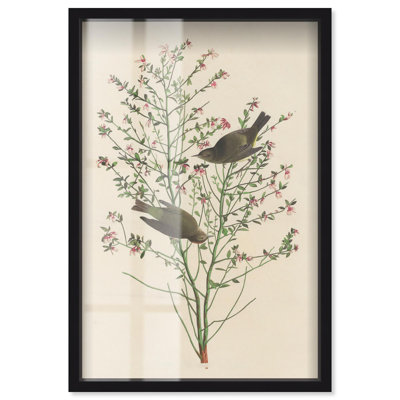 Art botanique Airy Thicket Shadowbox par Art Remedy