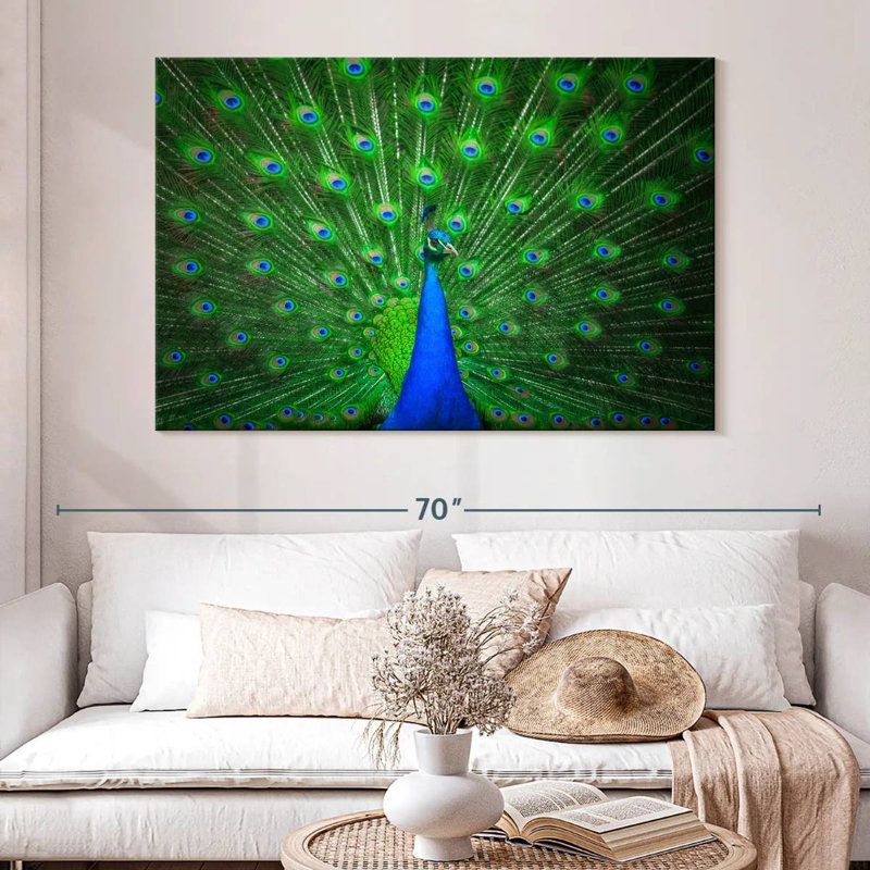 Plume de paon vert vif Crowle, H 34 po x l 51 po