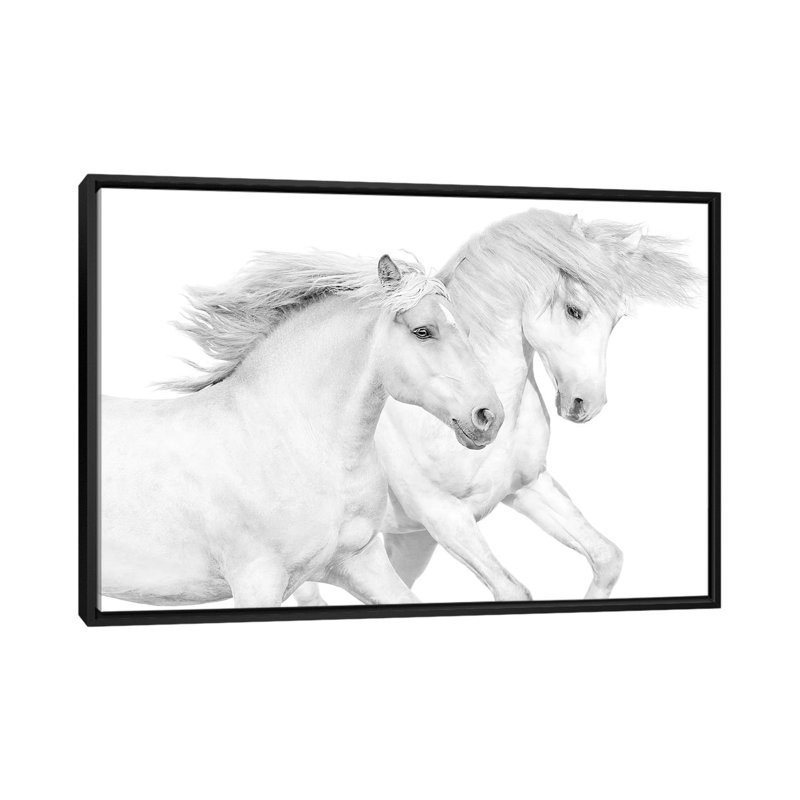 " Duo II " by Samantha Carter, 18" H x 26" W x 1.5" D, Black Framed Canvas, No Mat
