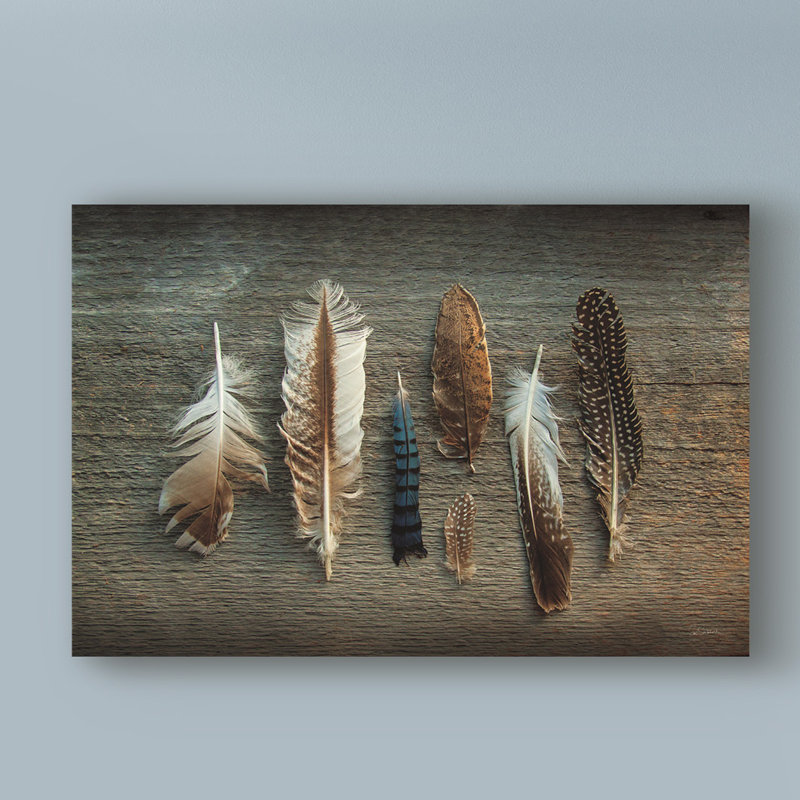 «Feather Collection I», reproduction d'impression sur toile tendue, H 30 po x l 47 po x P 2 po