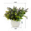 Herbe d'eucalyptus en pot 10 po-1048476470