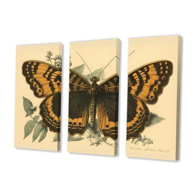 Illustration rétro de papillons I - animaux, ensemble d'art mural sur toile_80512, H 32 po x l 48 po x P 1 po, Toile tendue