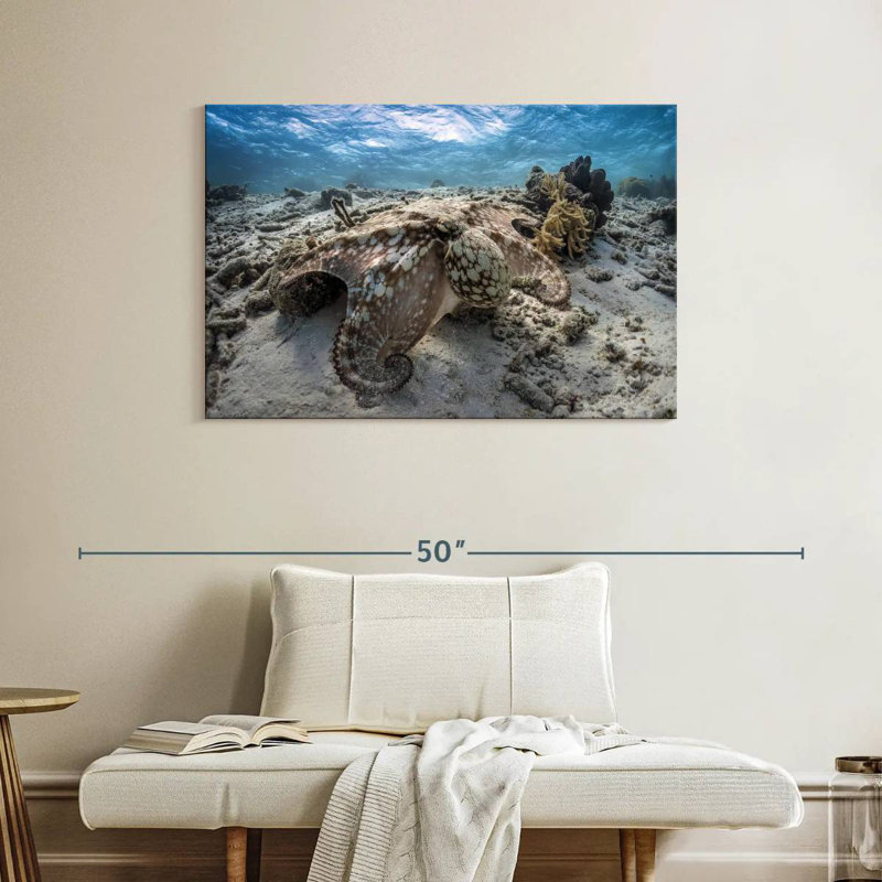 Brampt Stealthy Octopus, 26" H x 39" W