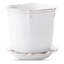 Berry & Thread Planter-58915834-58648836
