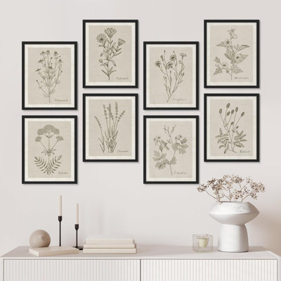 " Wildflower, Botanical Floral, Minimalist Decor, Vintage Poster " 8 - Pieces