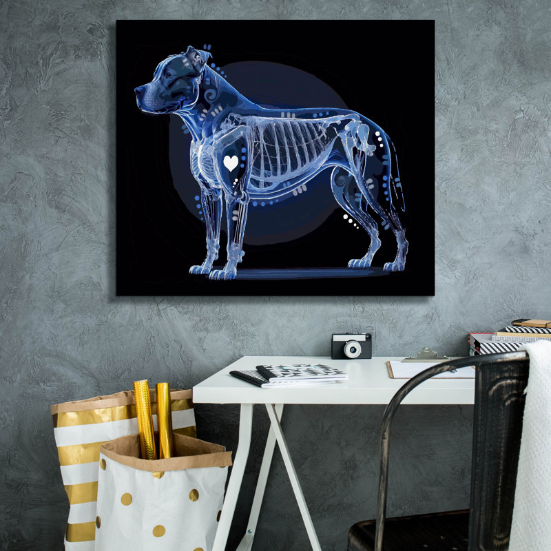  «Xray Pitbull» par Dean Russo, art mural sur toile, 30 po x 26 po, H 26 po x l 30 po