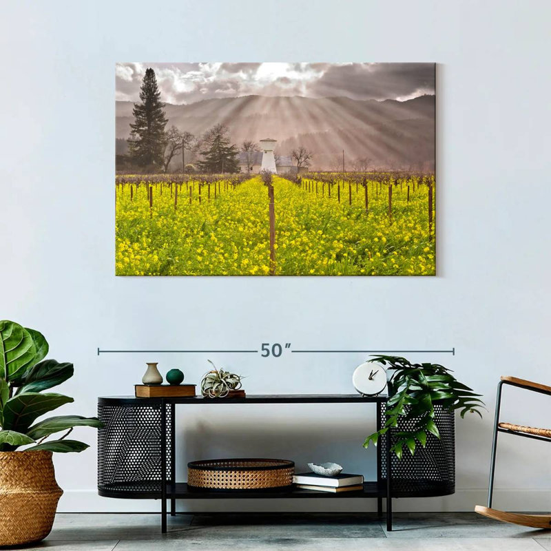Vignes de Napa Valley, H 30 po x l 45 po