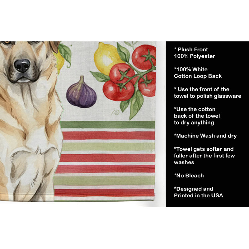 Torchon Anatolian, Anatolian Shepherd Dog