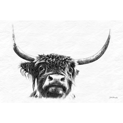 " Sketchy Highland I " by Dakota Diener