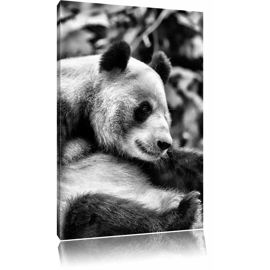 Leinwandbild Niedlicher Pandabär in Monochrom