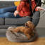 Lit pour chien Elam Super Lux Shaggy-1458732011-1458731878