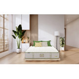 Nature's Spa Hybrid Horizon Plush
