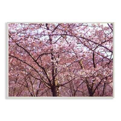 «Pink Sky Cherry Blossom Forest Photographie» par Frances Stpehnie, photographie