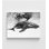 Reproduction d'art baleine - Photographie de l'océan en noir et blanc