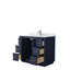 Icon 42" Single Bathroom Vanity Set-2042950573-2042950572