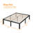 Agulla 16" High Metal Bed Frame with Sturdy Wood Slats, No Box Spring Needed, Easy Assembly-1581559044