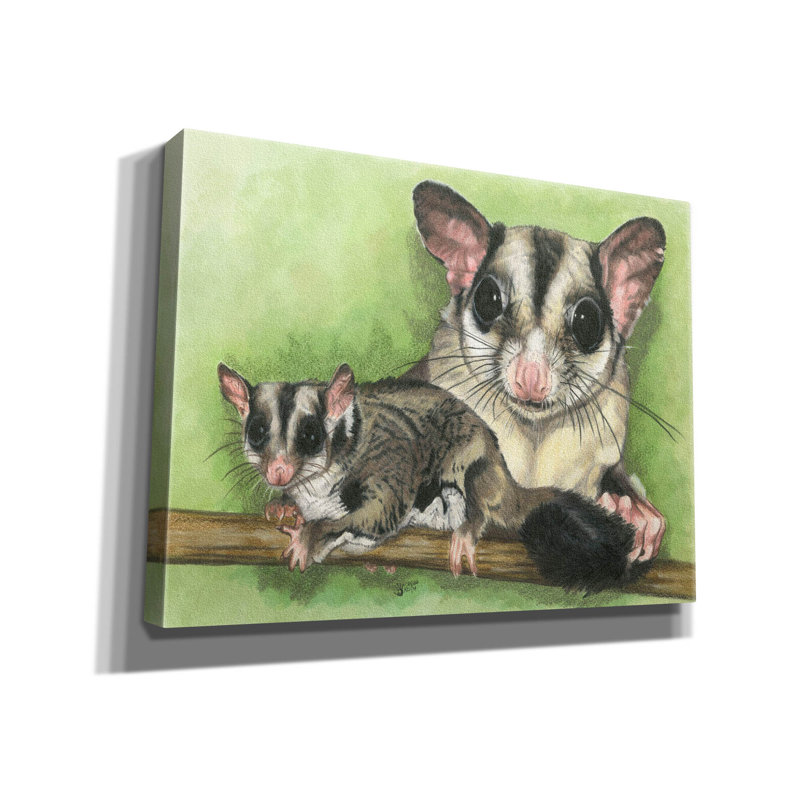 «Sugar Glider On Canvas» par Barbara Keith, reproduction, H 12 po x l 16 po x P 0,75 po