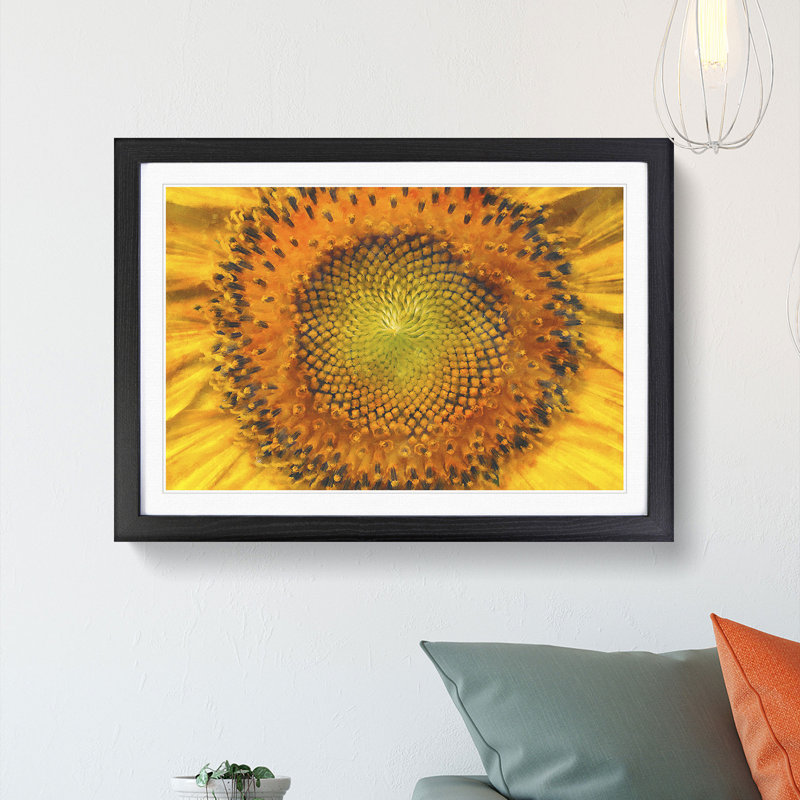 The Eye of a Yellow Sunflower - Picture Frame Painting Print, Black Framed, 24cm H x 33cm W x 2cm D