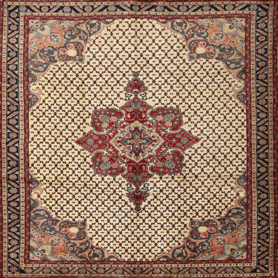 Xena Oriental Indoor Rug