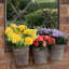 Elegant Cem Arch Metal Mirror – Hand-Finished Antique Wall Décor with 3 Planters & Pots for Home or Garden Spaces