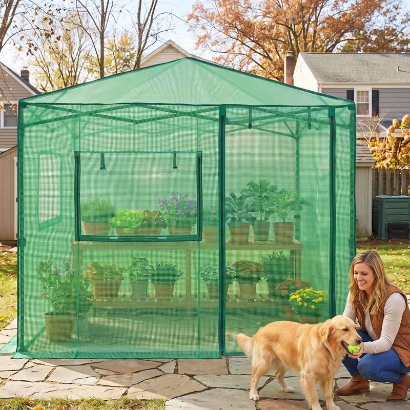 Pop Up Greenhouses 8' X 6' Portable Instant Walk-In Garden Greenhouse