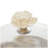 Mango Wood Decorative Cream Cake Stand with Glass Dome
