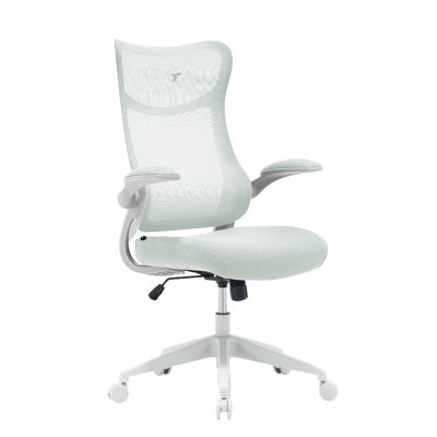 TT AIRFLEX V2 Ergochair - Vert menthe