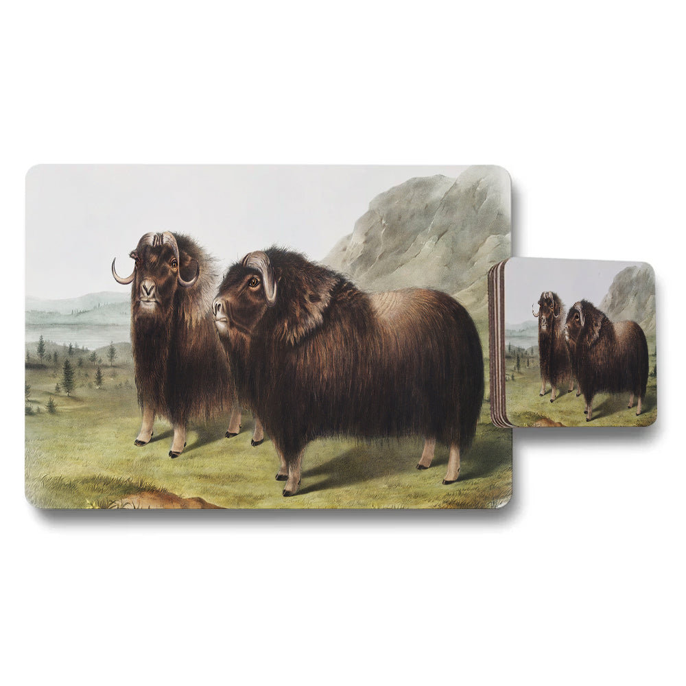 Musk Ox Placemats And Coasters Set With Wildlife Illustration