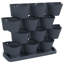 Rinelle Vertical Garden