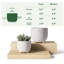 Ceramic Pot Planter-1049335620