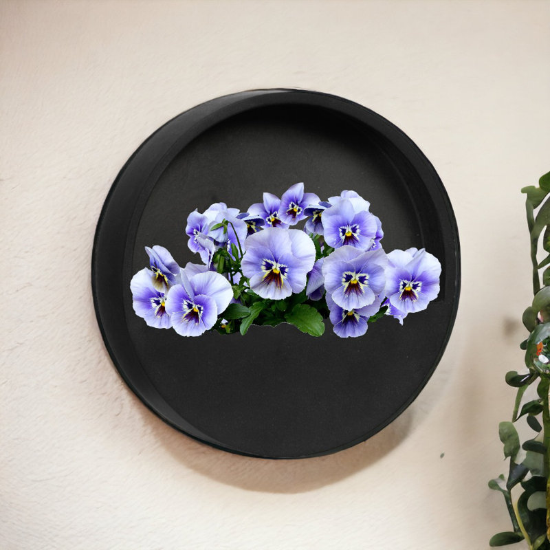 Pot de fleurs mural, H 12 po x l 5 po x P 5 po