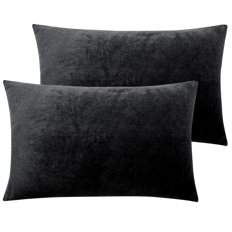 Zippered Pillowcases, Luxury Velvet Flannel Pillow Cases, Super Soft - NTBAY, 20"  x 36, Black