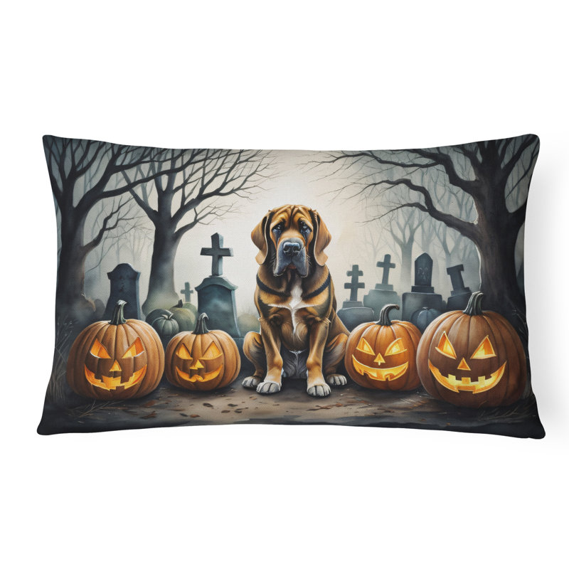  Coussin décoratif intérieur / extérieur en polyester Autre / Sans motif, Rectangulaire 12 po x 16 po