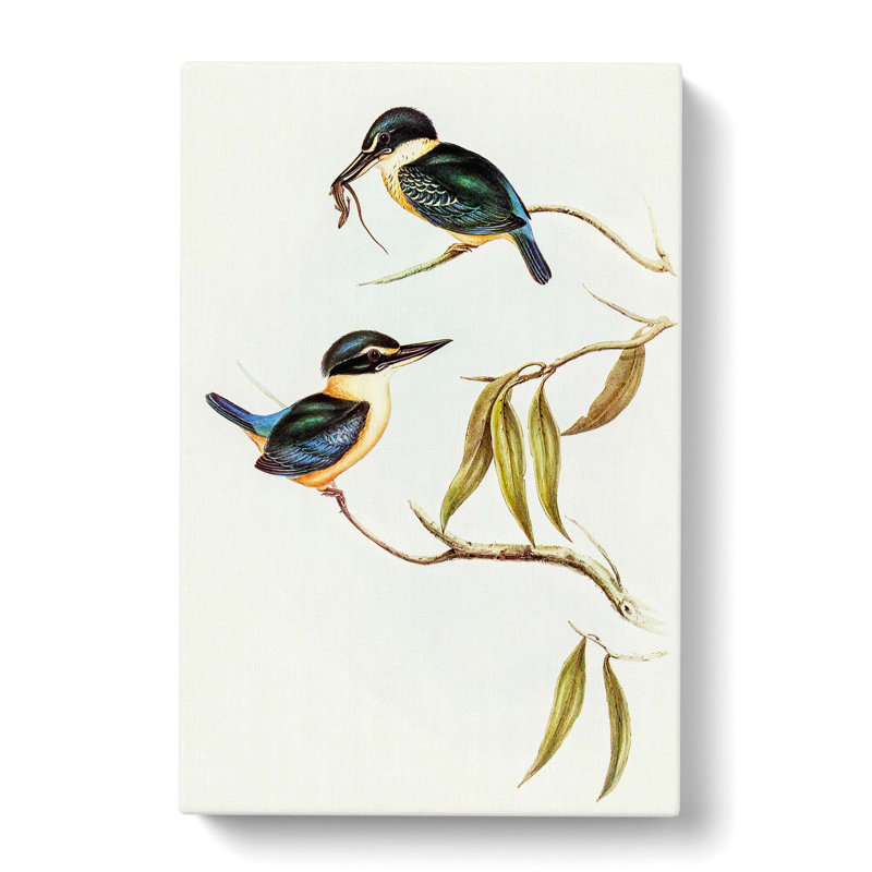 SacHalcyon Kingfishers by Elizabeth Gould - Wrapped Canvas, 50cm H x 35cm W x 3cm D