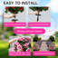 21 " Arrangement-373057579