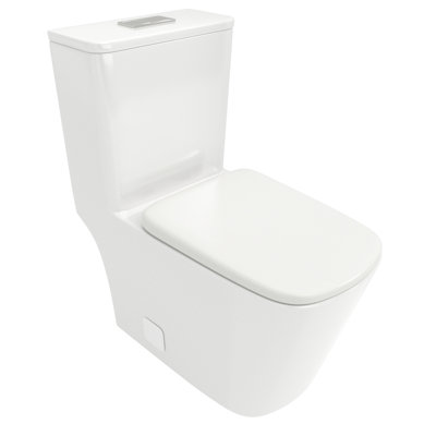 Toilette en céramique avec siège confortable pour personnes âgées - composants de l'utilisateur - longue durée de vie