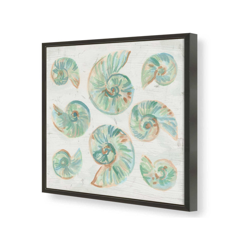 Reproduction d'art «Saltwashed Shells IV» par June Erica Vess, Noir, H 12 po x l 12 po