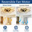 Ventilateur de plafond 35 po 15 feuilles
