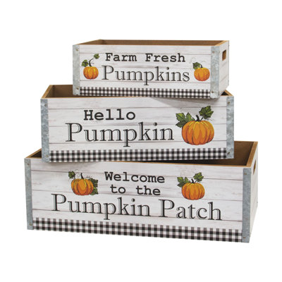 Thanksgiving Decorative Accent
