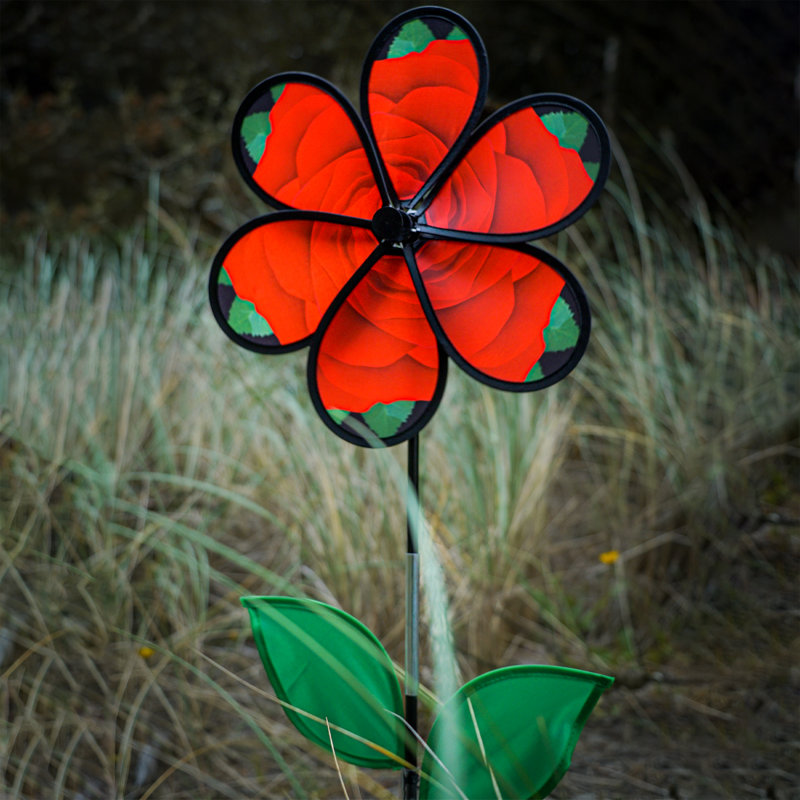 Rouleau de roses 13,5 "avec feuilles