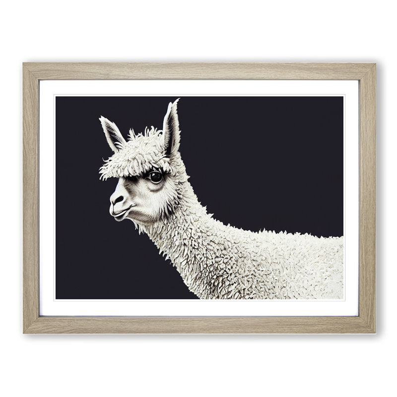 Portrait Of A Llama - Single Picture Frame Print, Oak, 46cm H x 64cm W x 2cm D