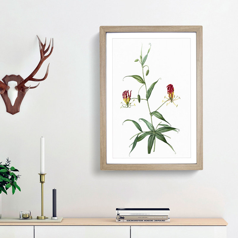 Flame Lily Flowers by Pierre-Joseph Redoute - Picture Frame Art Print, Oak Framed, 48cm H x 36cm W x 2cm D