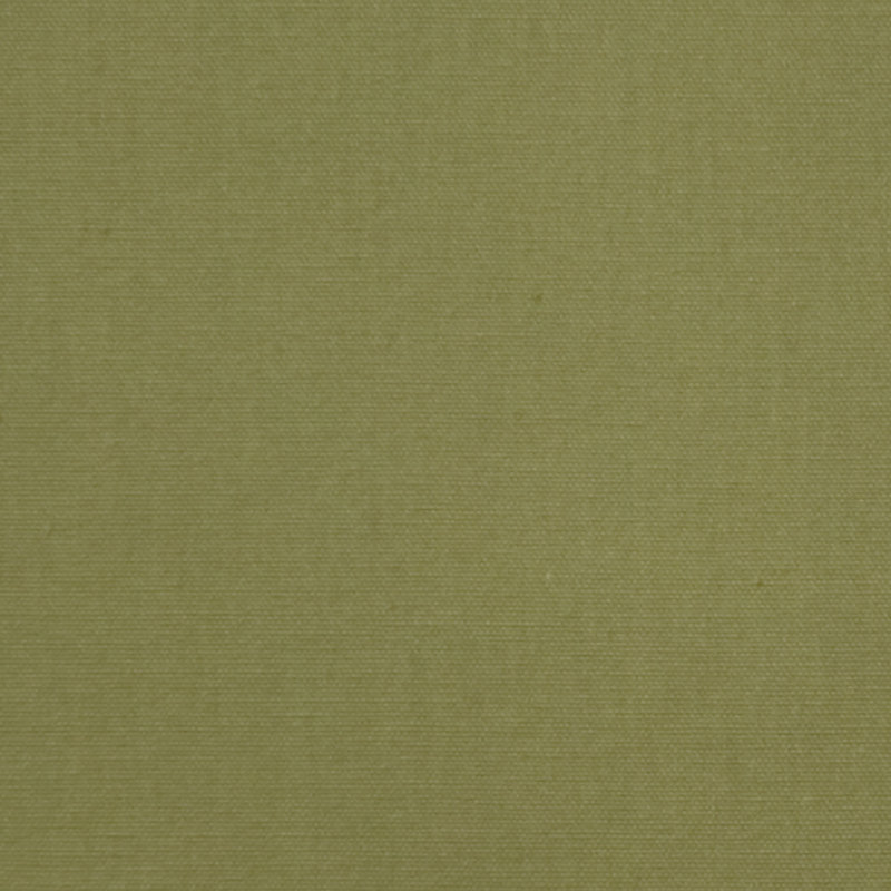 Tissu traditionnel Hepworth par la cour, Vert