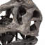 Animals Figurines & Sculptures-50189501