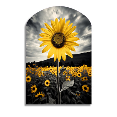 Yellow Brown Sunflower Field Emergent Sunflower II - Sunflowers Arch Shape Irregular Metal Wall Decor
