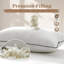  Housse de coussin 100% coton biologique-1469035692