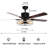Theiss 52'' Ceiling Fan