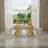 Brushed Gold Dining Chairs Set Of 6