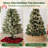 Rattan Tree Collar-137655575