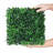 Grass Wall-10In-1521783216